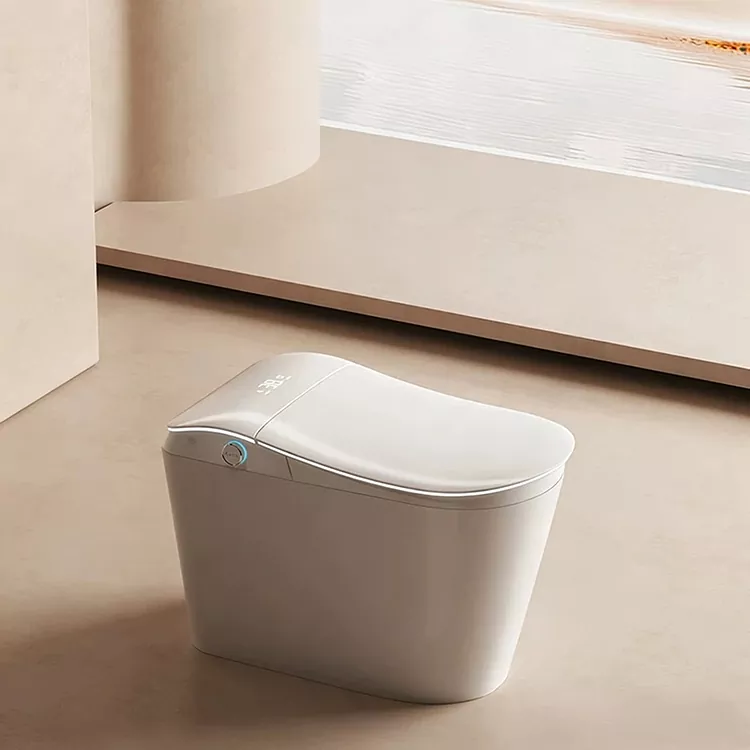 Toilette intelligente con filtro dell'acqua integrato e scarico attivato con il piede